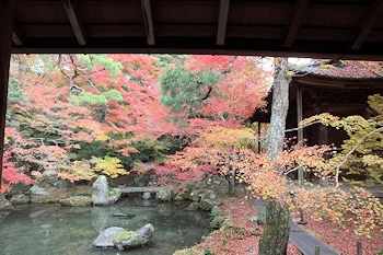 蓮華寺の風景