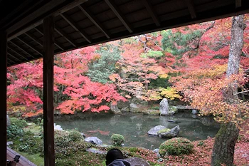 蓮華寺の風景