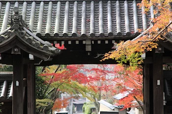 赤山禅院の風景