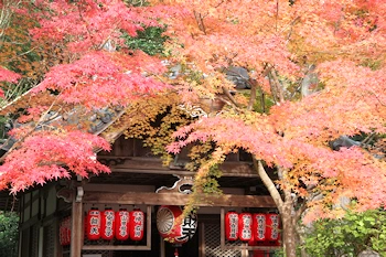 赤山禅院の風景