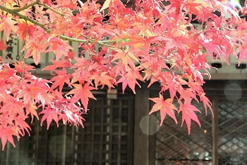 赤山禅院の風景