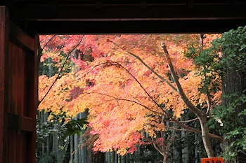 赤山禅院の風景