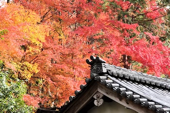 赤山禅院の風景