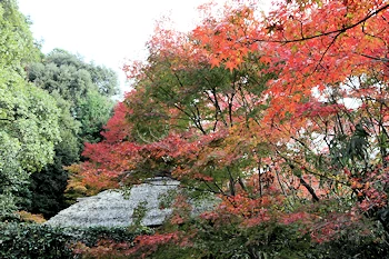 金福寺の風景