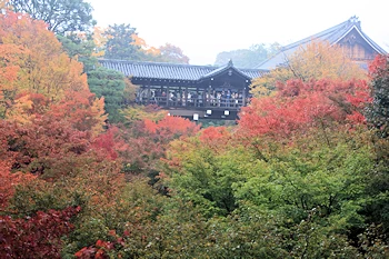 東福寺の風景