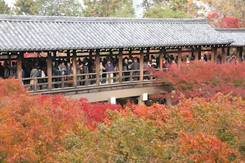 東福寺の風景
