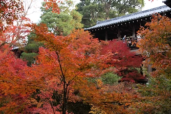 東福寺の風景