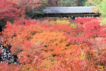 東福寺の風景