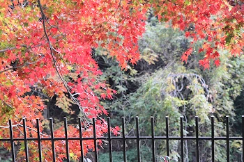 インクラインの風景