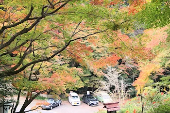 日向大神宮の風景