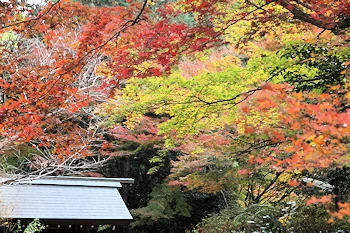 日向大神宮の風景