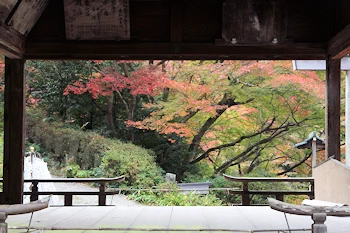 日向大神宮の風景