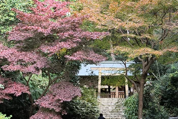 日向大神宮の風景