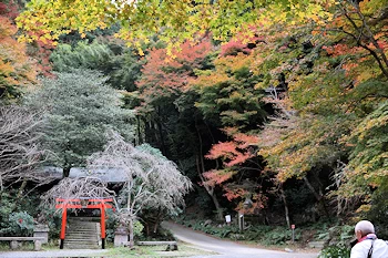 日向大神宮の風景