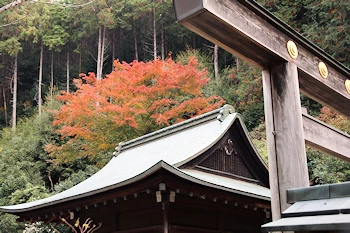 日向大神宮の風景