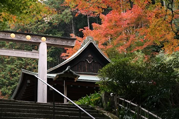 日向大神宮の風景