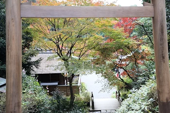 日向大神宮の風景