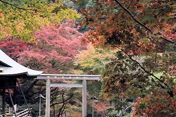 日向大神宮の風景