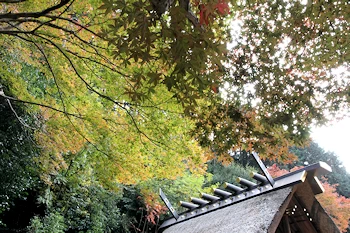 日向大神宮の風景