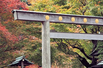 日向大神宮の風景