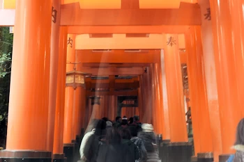 伏見稲荷の風景