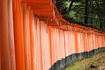 伏見稲荷の風景