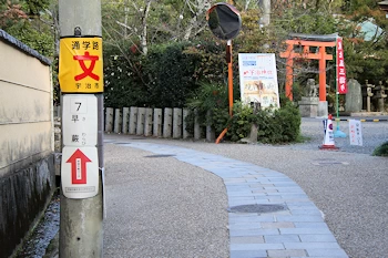 さわらびの道の風景