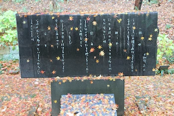 さわらびの道の風景