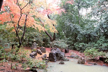 御香宮神社の風景