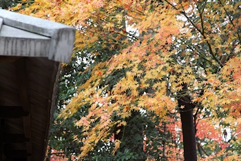 御香宮神社の風景