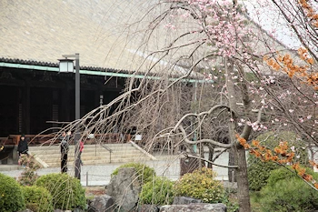 三十三間堂の風景