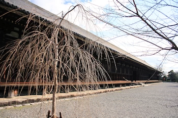 三十三間堂の風景
