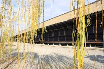 三十三間堂の風景