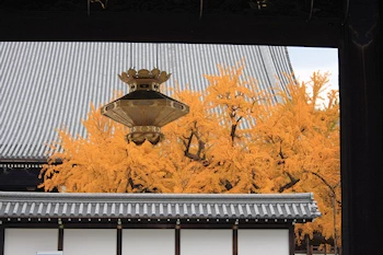 西本願寺の風景