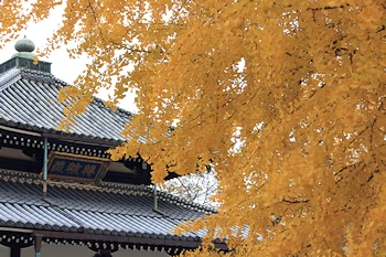 西本願寺の風景