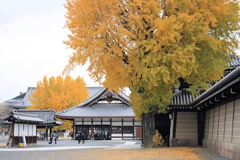 西本願寺の風景