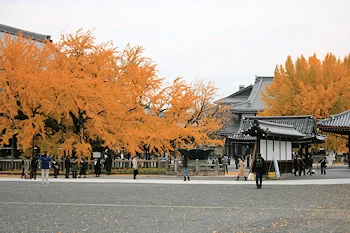 西本願寺の風景