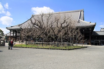 西本願寺の風景