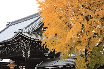 西本願寺の風景