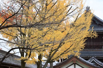 東本願寺の風景