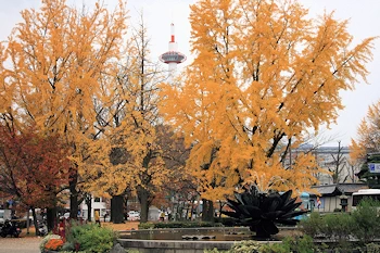 東本願寺の風景
