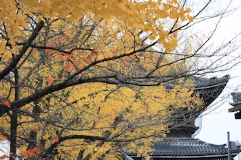 東本願寺の風景