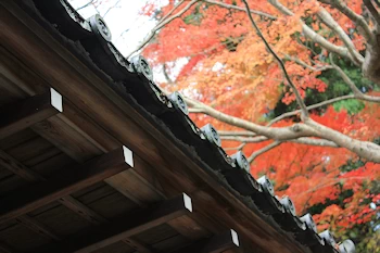 霊鑑寺の風景
