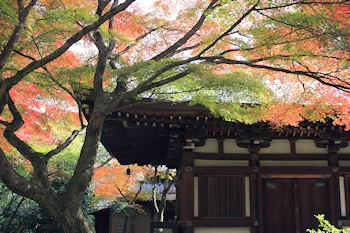 白沙村荘の風景