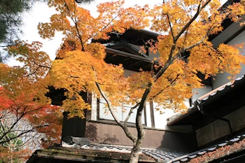 白沙村荘の風景