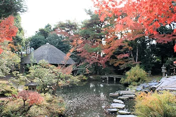 白沙村荘の風景