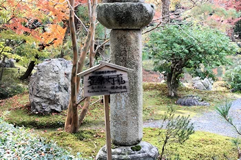 白沙村荘の風景