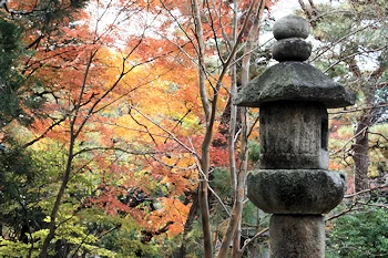 白沙村荘の風景