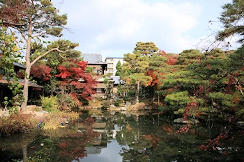 白沙村荘の風景