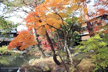 白沙村荘の風景